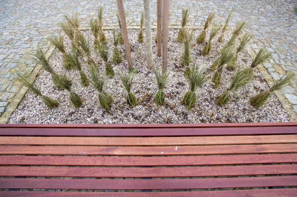 Česká Skalice na Náchodsku dokončila první etapu rekonstrukce centrálního Husova náměstí