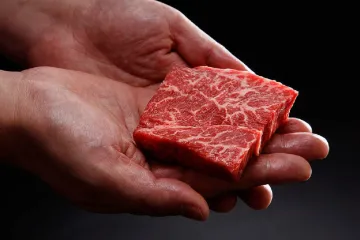 Singapur jako první povolil prodej umělého kuřecího masa. Nugetky jsou vyrobené v bioreaktoru