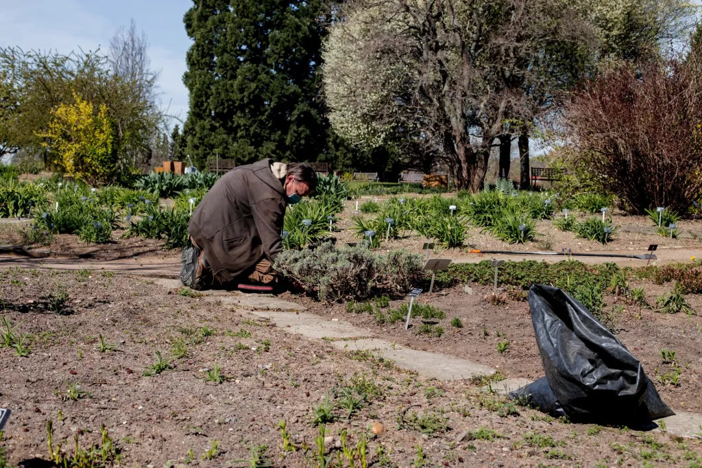 Zahradnické práce a péči o rostliny nebylo možné přerušit ani v době uzavření zahrady