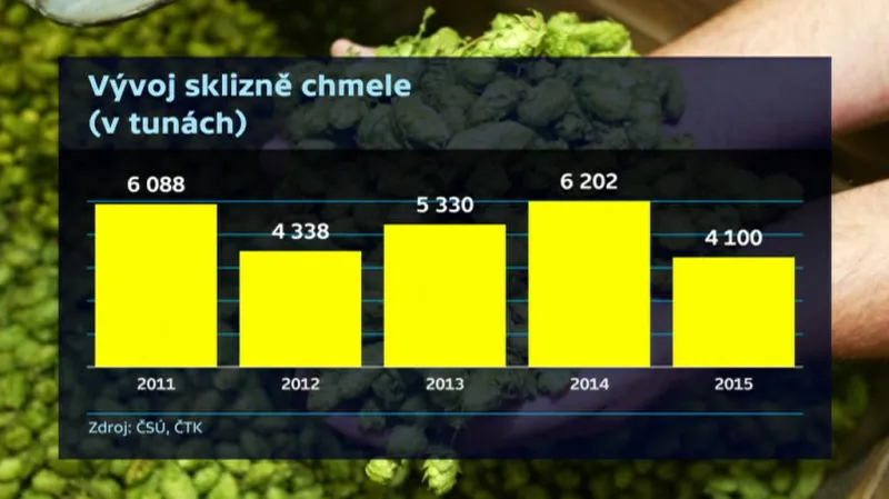 Vývoj sklizně chmele