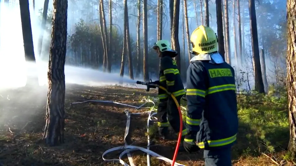 Hasiči při hašení lesa na okraji Plzně