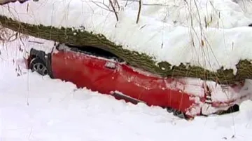 Strom se pod tíhou sněhu zřítil na osobní auto