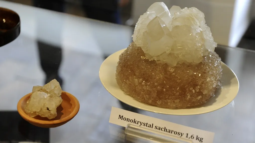 Výstava cukru v Lounech