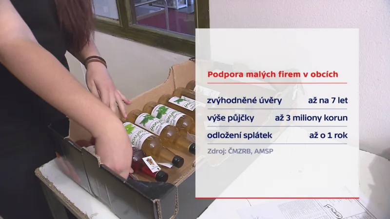 Podpora malých firem