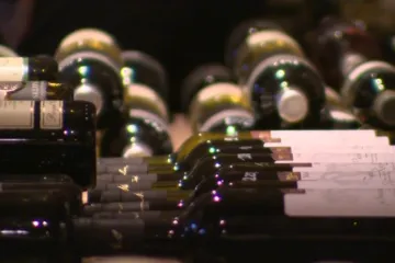 Milují vína i památky jižní Moravy. Čínské firmy zvažují investice i do lázeňství