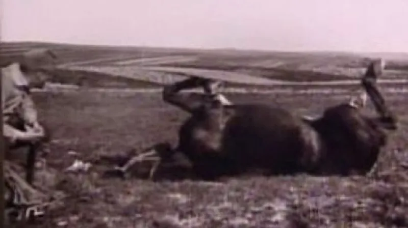 Lenka Drmotová informuje z Pražského hradu