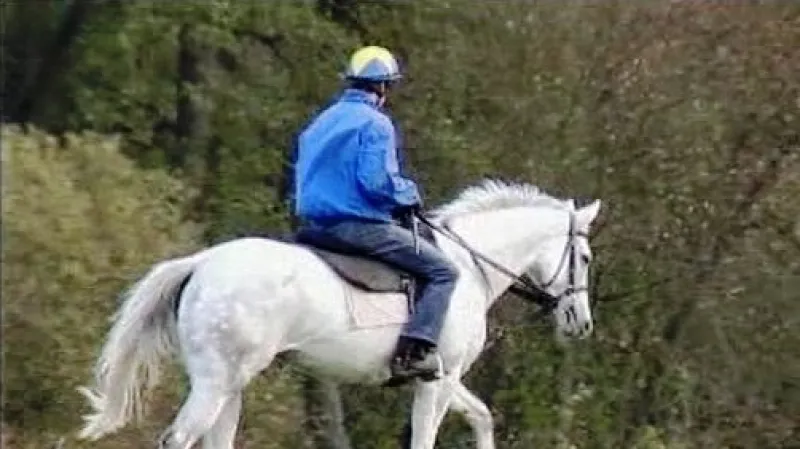 Sixteen a Josef Bartoš