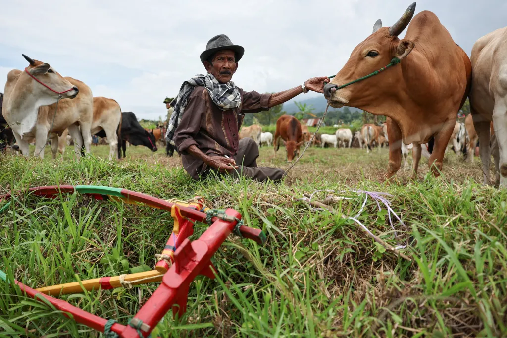 Závod každoročně přitahuje zájem nejen místních, ale i mnoha turistů z celého světa