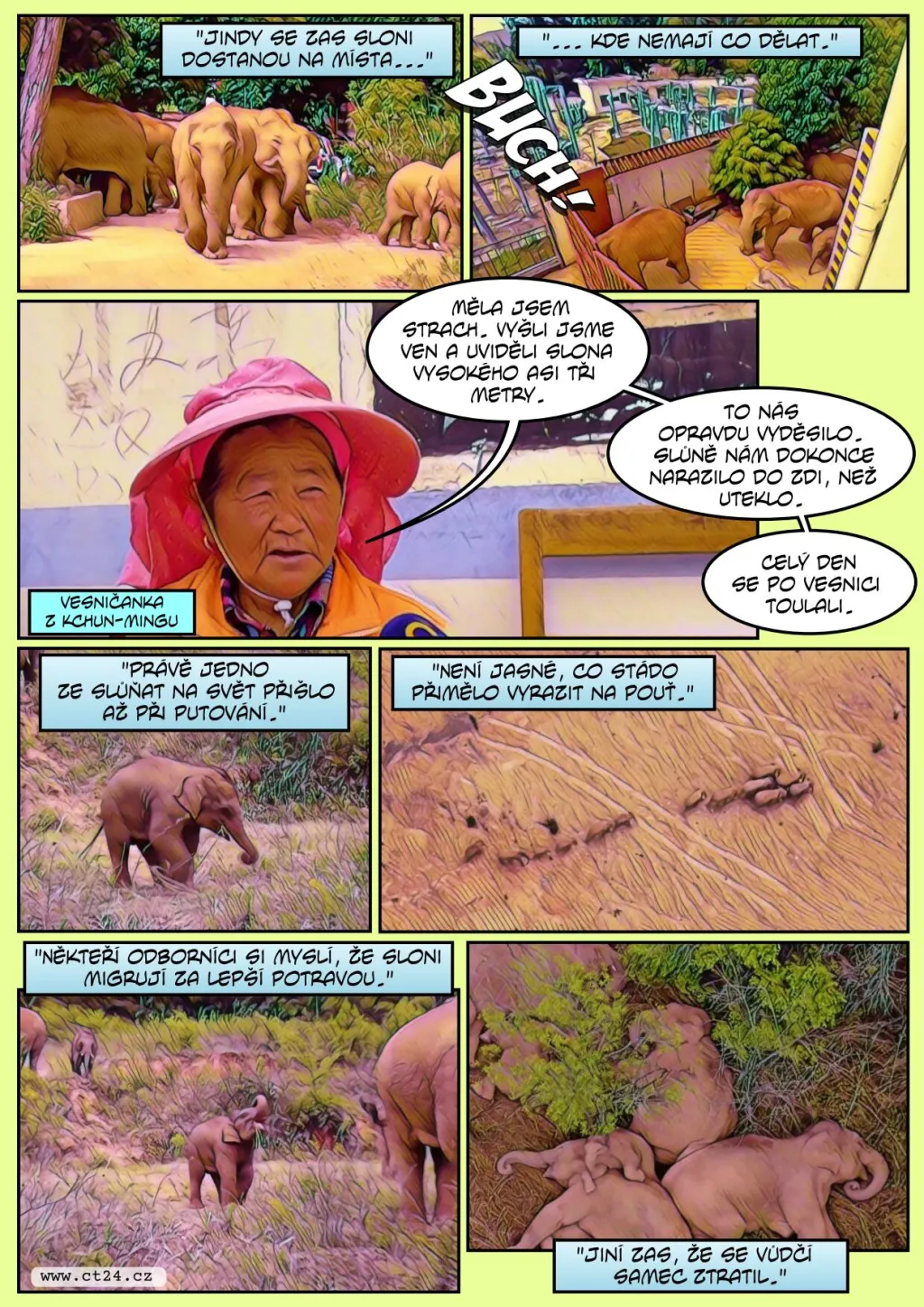 Sloní stádo je v Číně na cestě