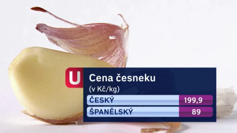 Cena česneku