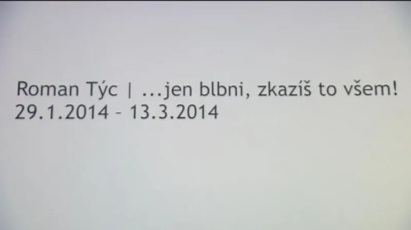Výstavu Romana Týce komentuje Radek Wohlmuth