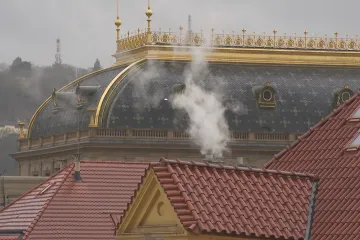 Analýza: ETS 2 na domácnosti dopadne málo, části mohou pomoct kompenzace