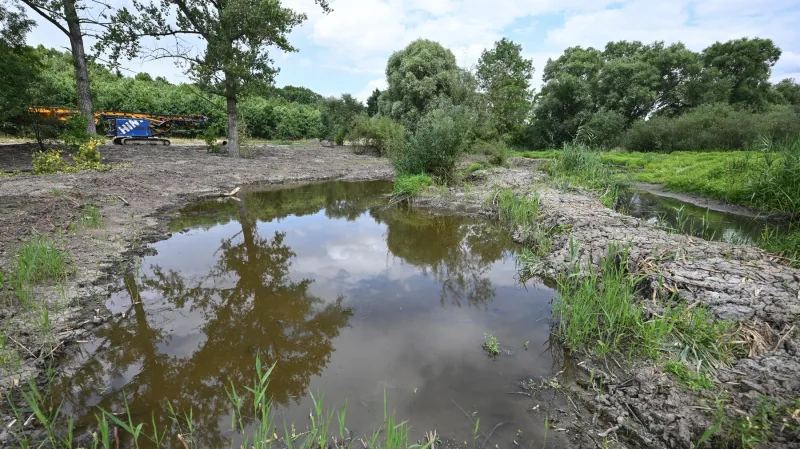 Nové tůně nad Počernickým rybníkem