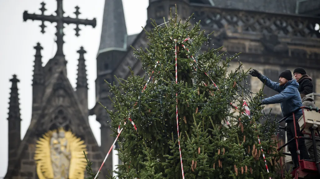 Vánoční strom na Staroměstském náměstí