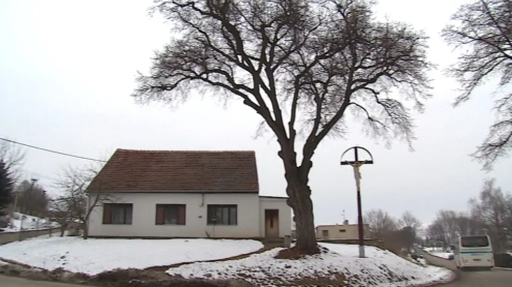 V obci se pyšní památnou lípou