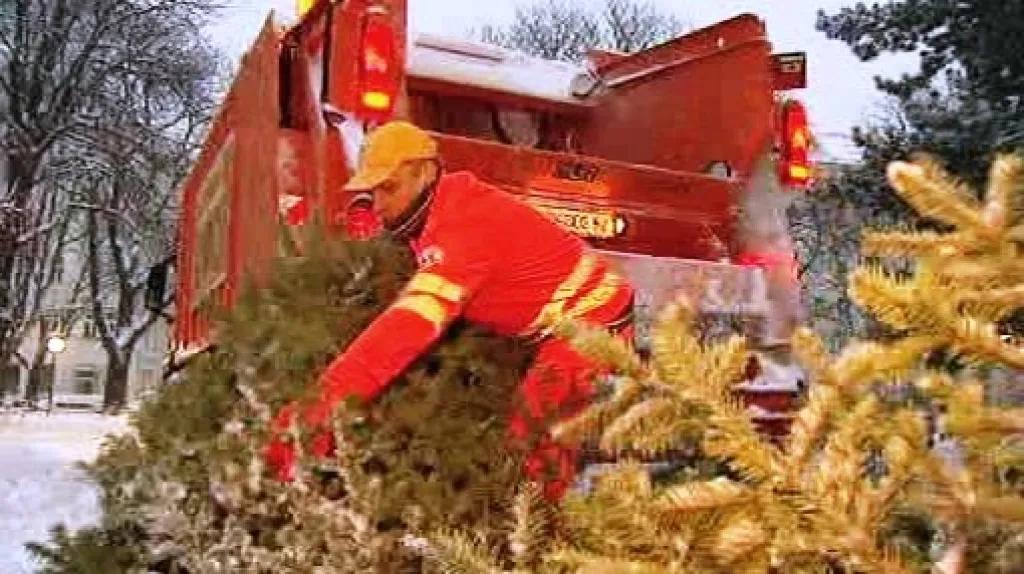 Odklízení vánočních stromků