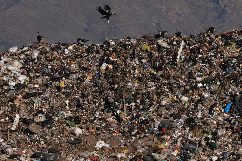 Dravci mezi hromadami odpadků na hlavní skládce v Santiago de Chile