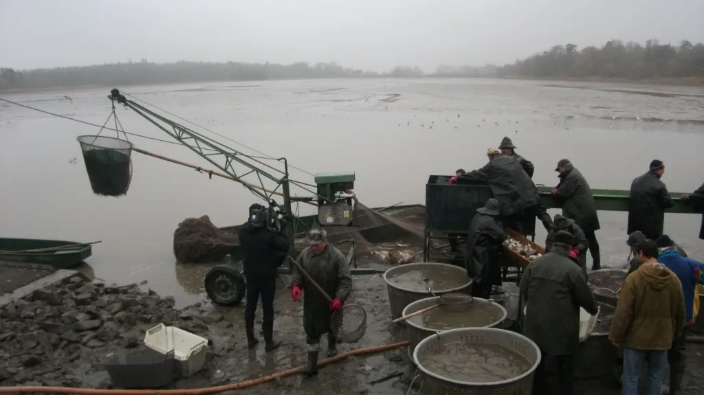 Ryby vytáhli rybáři na jeden zátah