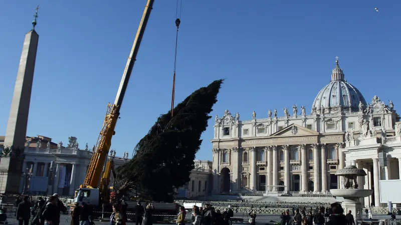 Instalace vánočního stromu pro Vatikán