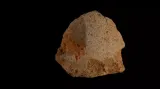 Nové nálezy z vykopávek projektu Atapuerca
