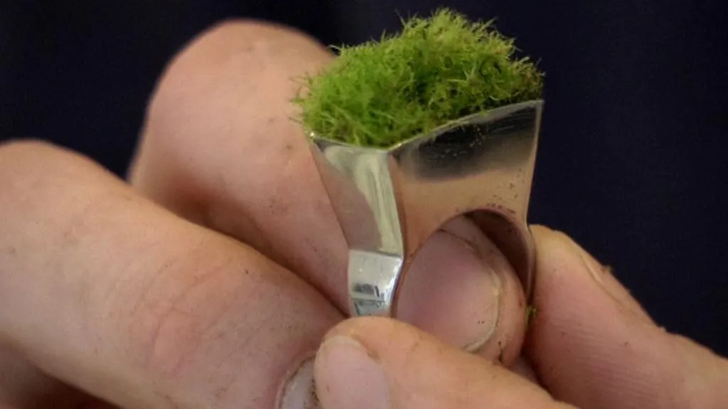 Prsten s islandským mechem