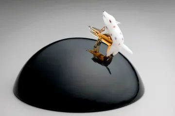 Krokodýl Jake a jeho příběhy