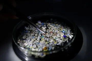 Mušle pomáhají řeckým vědcům detekovat znečištění mikroplasty