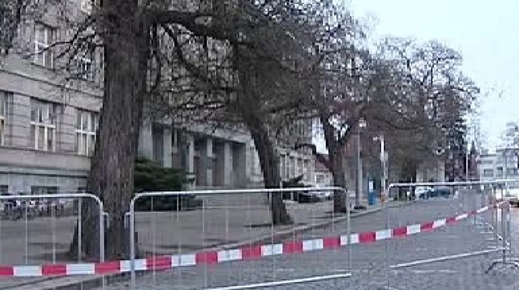 Přestárlé stromy před hradeckým soudem