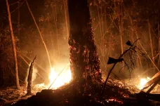 V Amazonii jen v srpnu vypuklo 30 tisíc požárů, to je trojnásobně víc oproti loňsku