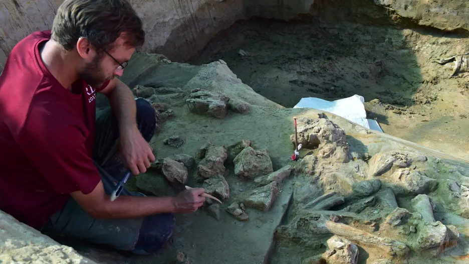 Archeologové zkoumají skládku převážně mamutích kostí u Dolních Věstonic
