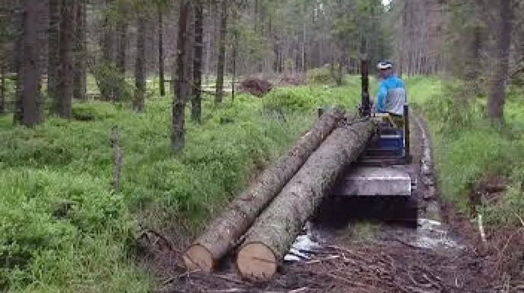Práce se dřevem