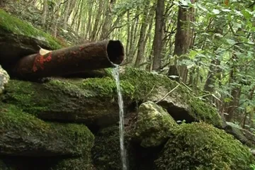 Voda v Národním parku Podyjí se nedá pít