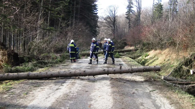 Spadlé stromy na Zlínsku