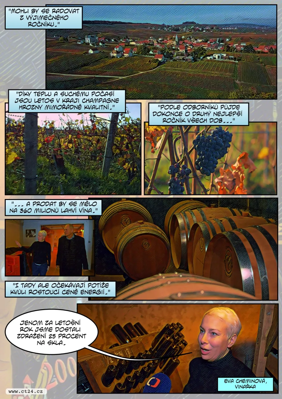 Výrobci vín zdražují