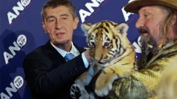 Andrej Babiš po volbách