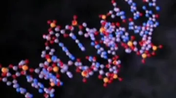 DNA