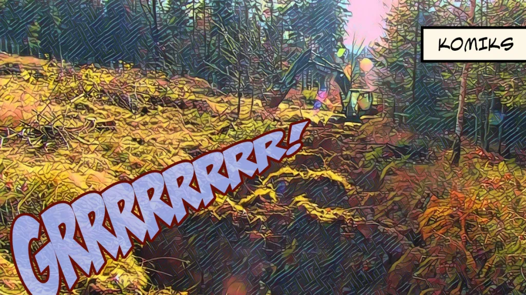 Zadržování vody v Jizerských horách