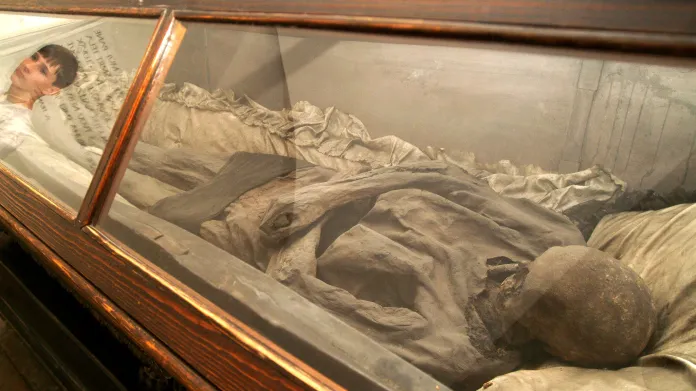 Mumie Františka Trencka