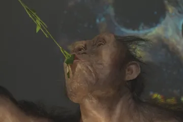Jsou staré přes tři miliony let. Národní muzeum vystavuje Lucy a Selam