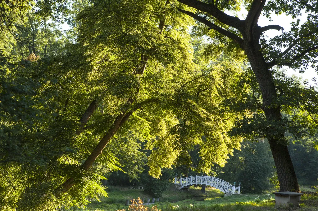 Anglický krajinářský park, který se svým pojetím přibližuje volné přírodě, nechal vybudovat třetí majitel zámku, Jan Rudolf Chotek. První úpravy byly dokončeny v roce 1790. Park patří k pěti nejstarším u nás. Se svojí rozlohou 298 hektarů je v Čechách tím největším.