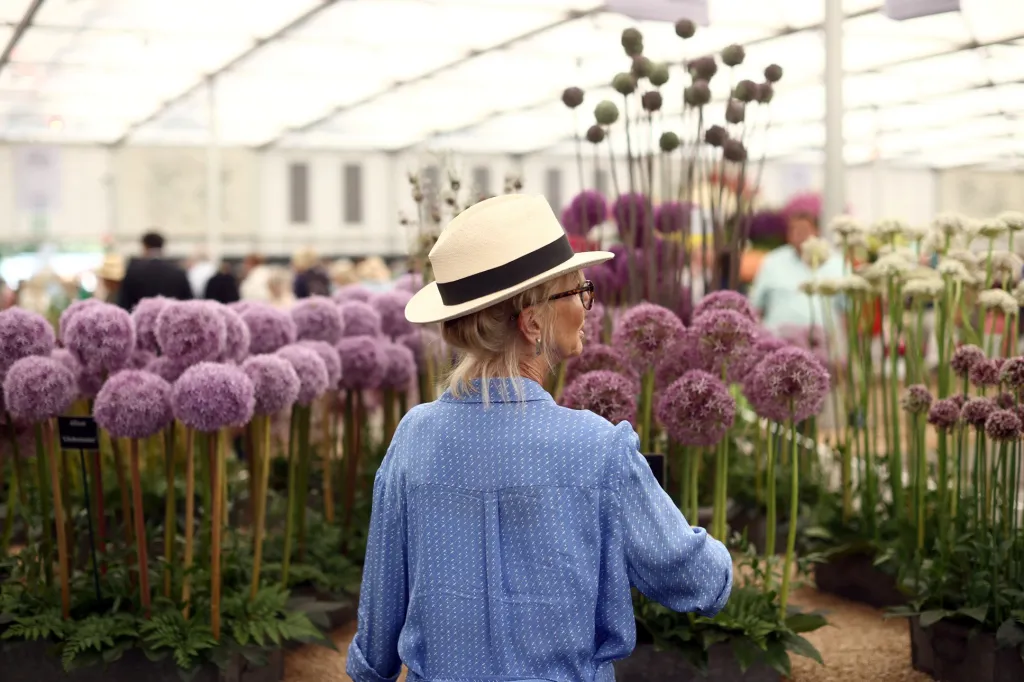 Přehlídka pěstitelů květin, floristů a aranžérů Chelsea Flower Show v Londýně nabízí milovníkům zahrad tu nejzajímavější podívanou ve Velké Británii