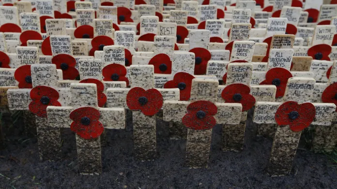 Vlčí máky na Field of Remembrance v britském Westminsteru