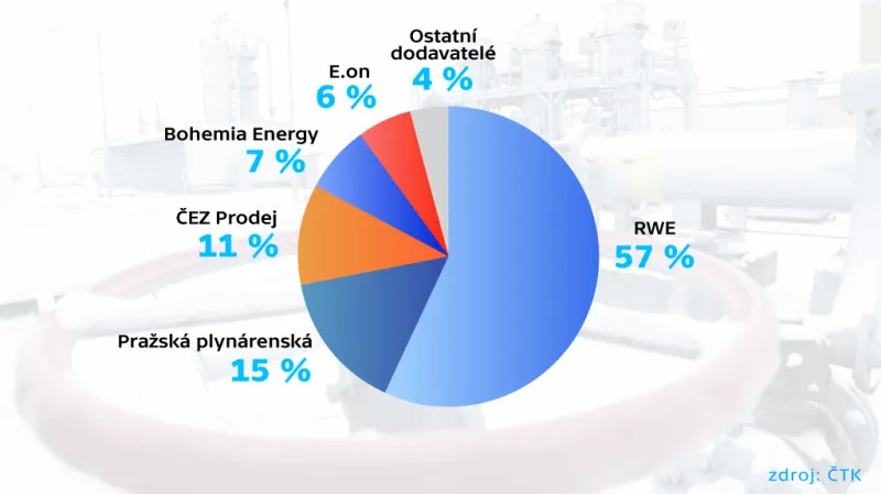 Podíl firem na trhu dodávek plynu