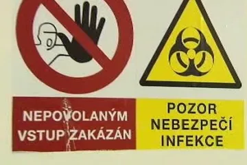 Vakcína na prasečí chřipku zřejmě dorazí koncem měsíce