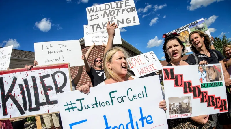 Ohlasy na zabití lva Cecila