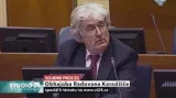 Karadžič před soudem