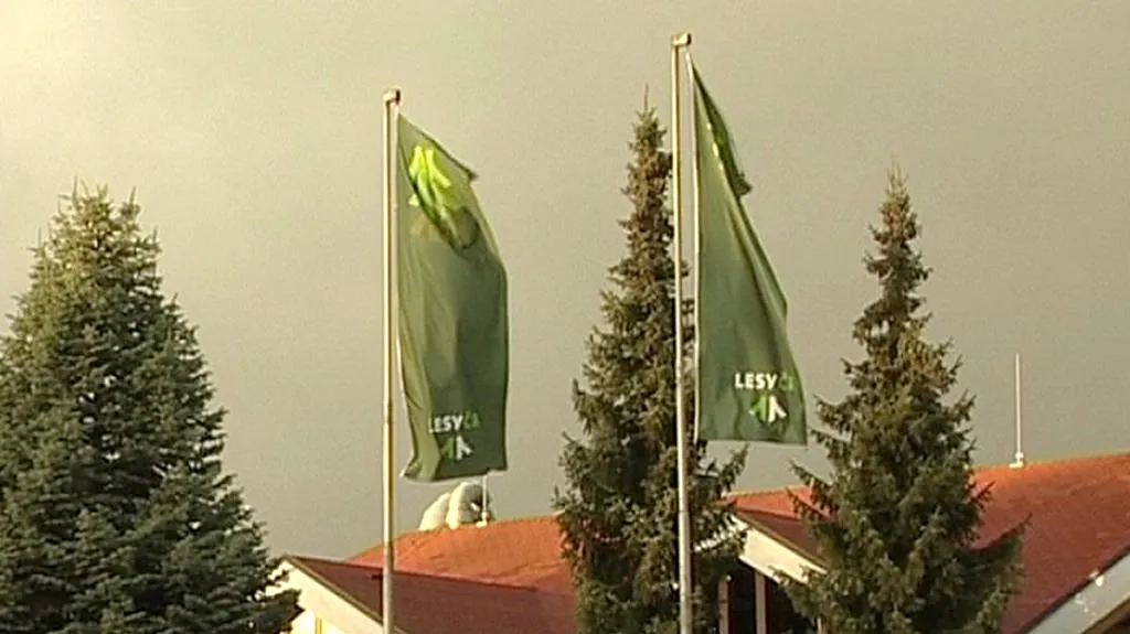 Lesy ČR