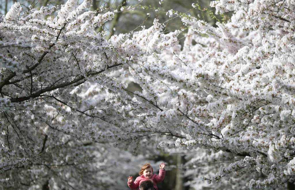Rodina si užívá volný čas v Battersea Parku v Londýně