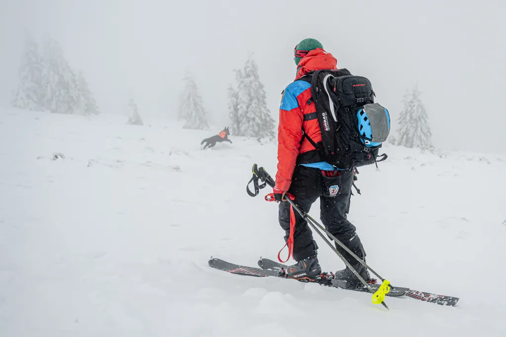 Záchranáři se psy nacvičují v Krkonoších záchranu z lavin