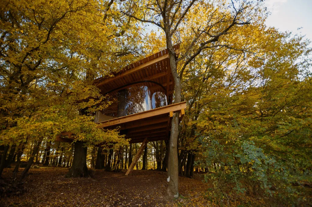 Cena za krajinářskou architekturu a zahradní tvorbu: Tree House u Hrusic (Jan Tyrpekl, Jaroslav Kejř, Jan Hyk, Adam Ulrich)